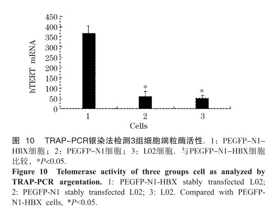 对连接好的表达载体pet32a-appa酶切验证如图